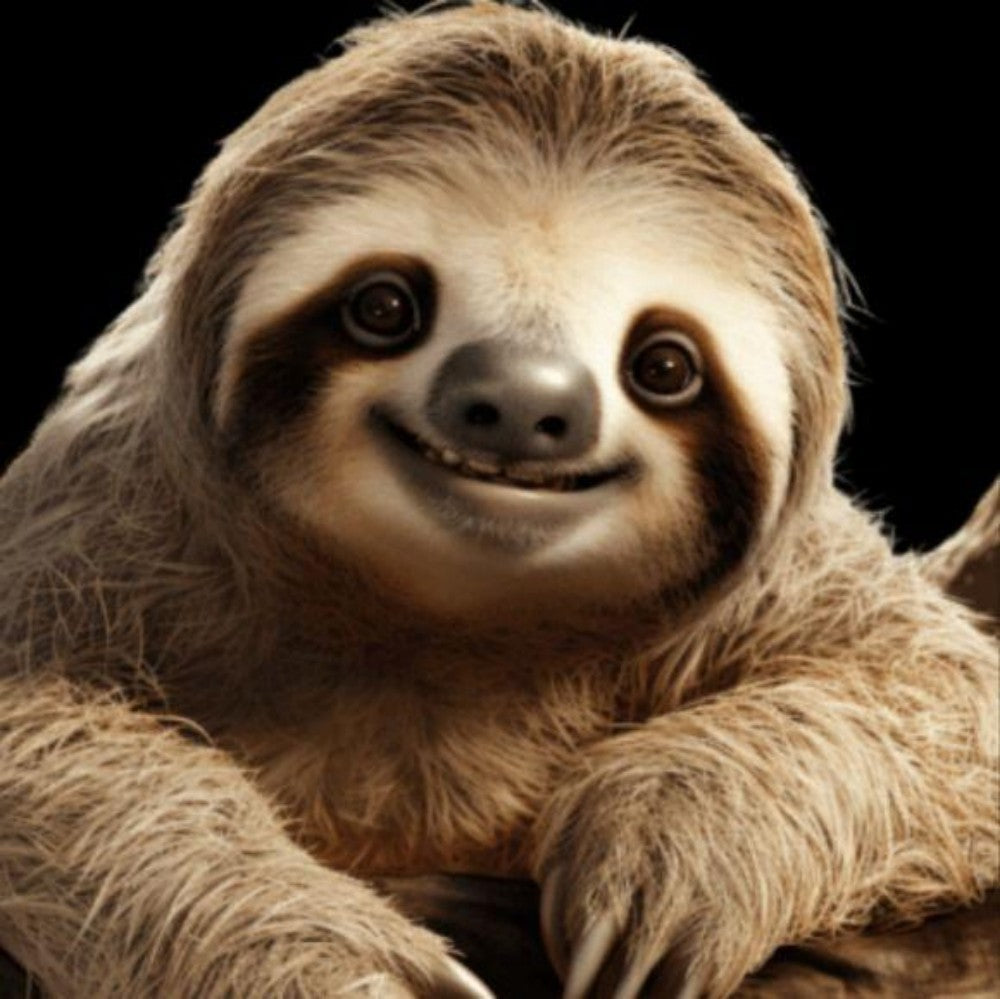 Sloth | Diamond Painting