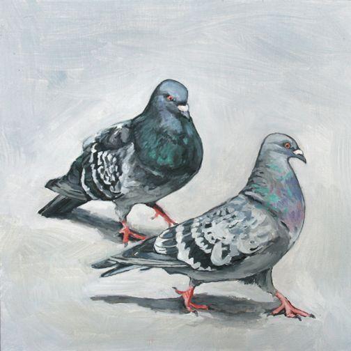 Pigeon | Diamond Painting