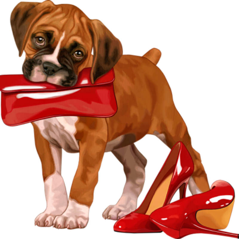 Boxer Dog | Diamond Painting