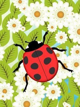 Ladybug | Diamond Painting