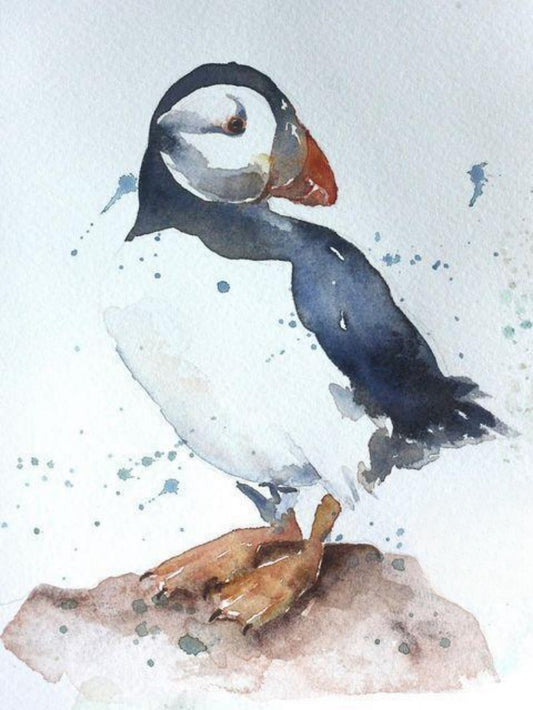 Puffin | Diamond Painting