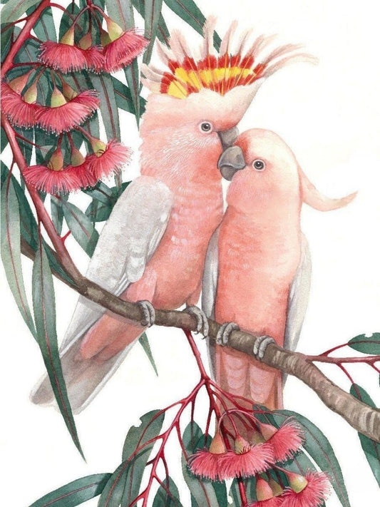 Cockatoo | Diamond Painting