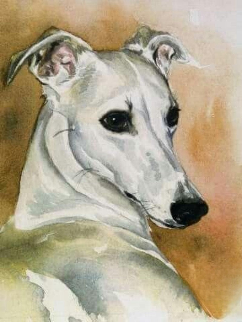 Whippet Dog | Diamond Painting