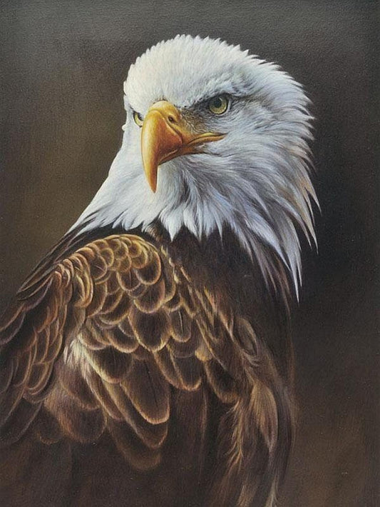 Eagle | Diamond Painting