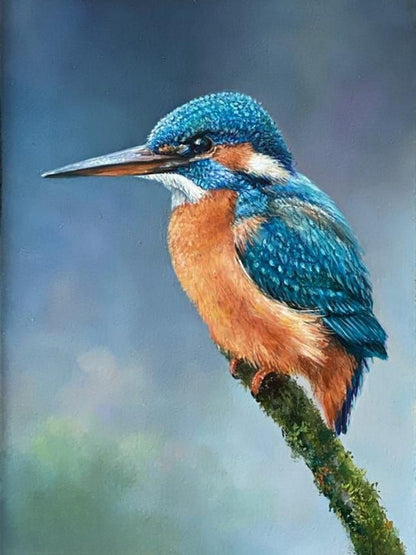 Kingfisher | Diamond Painting