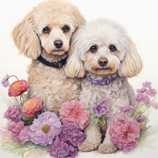 Cavapoo Dog | Diamond Painting