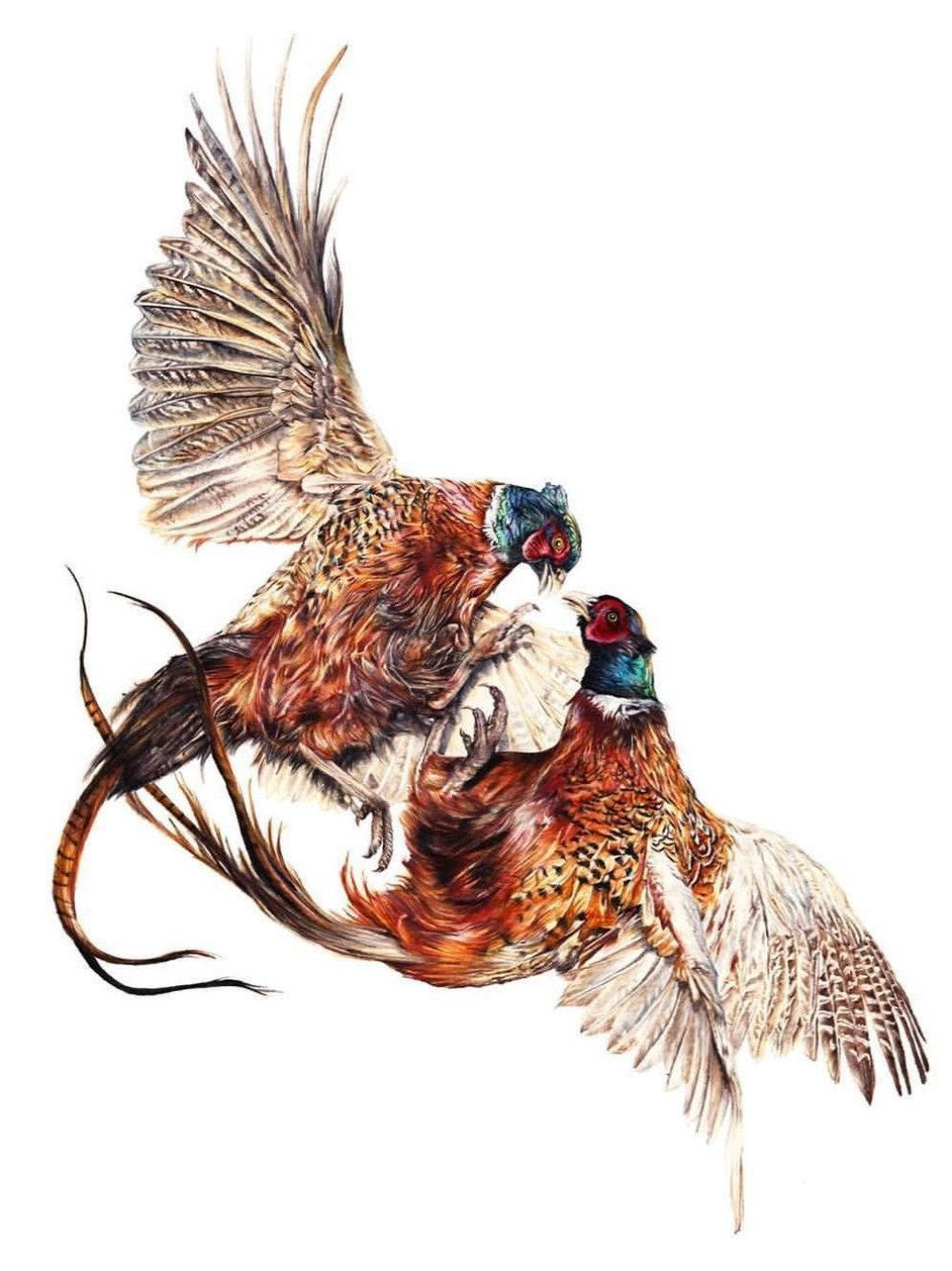 Pheasant | Diamond Painting