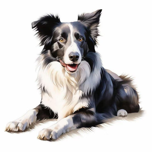 Dog Border Collie | Diamond Painting