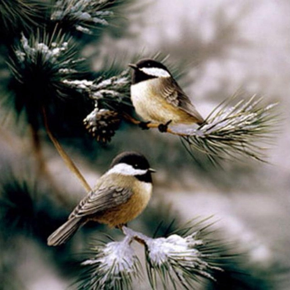 Chickadee | Diamond Painting