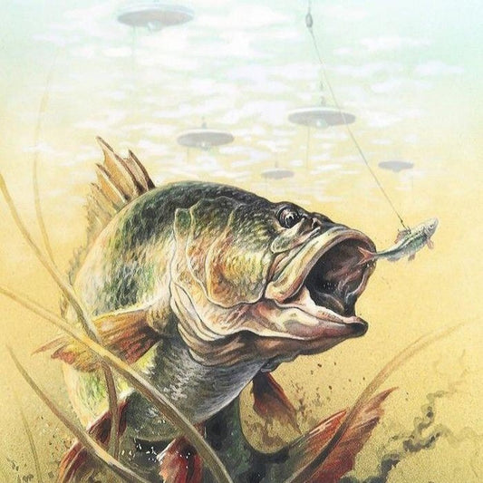 Bass Fish | Diamond Painting