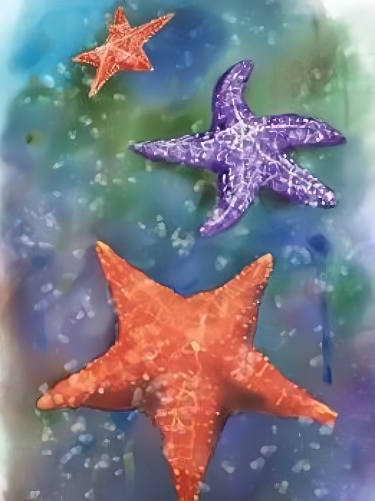 Starfish | Diamond Painting