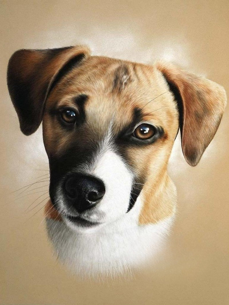 Dog Jack Russell | Diamond Painting