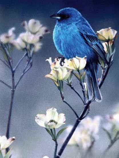Blue Bird | Diamond Painting