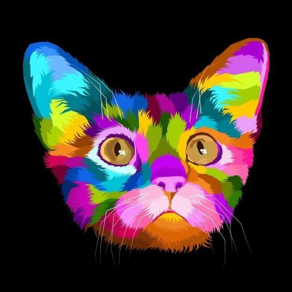 Colorful Cat | Diamond Painting