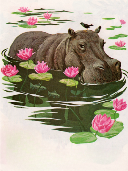 Hippo | Diamond Painting