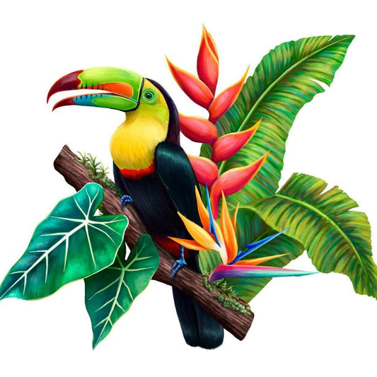 Toucan Bird | Diamond Painting