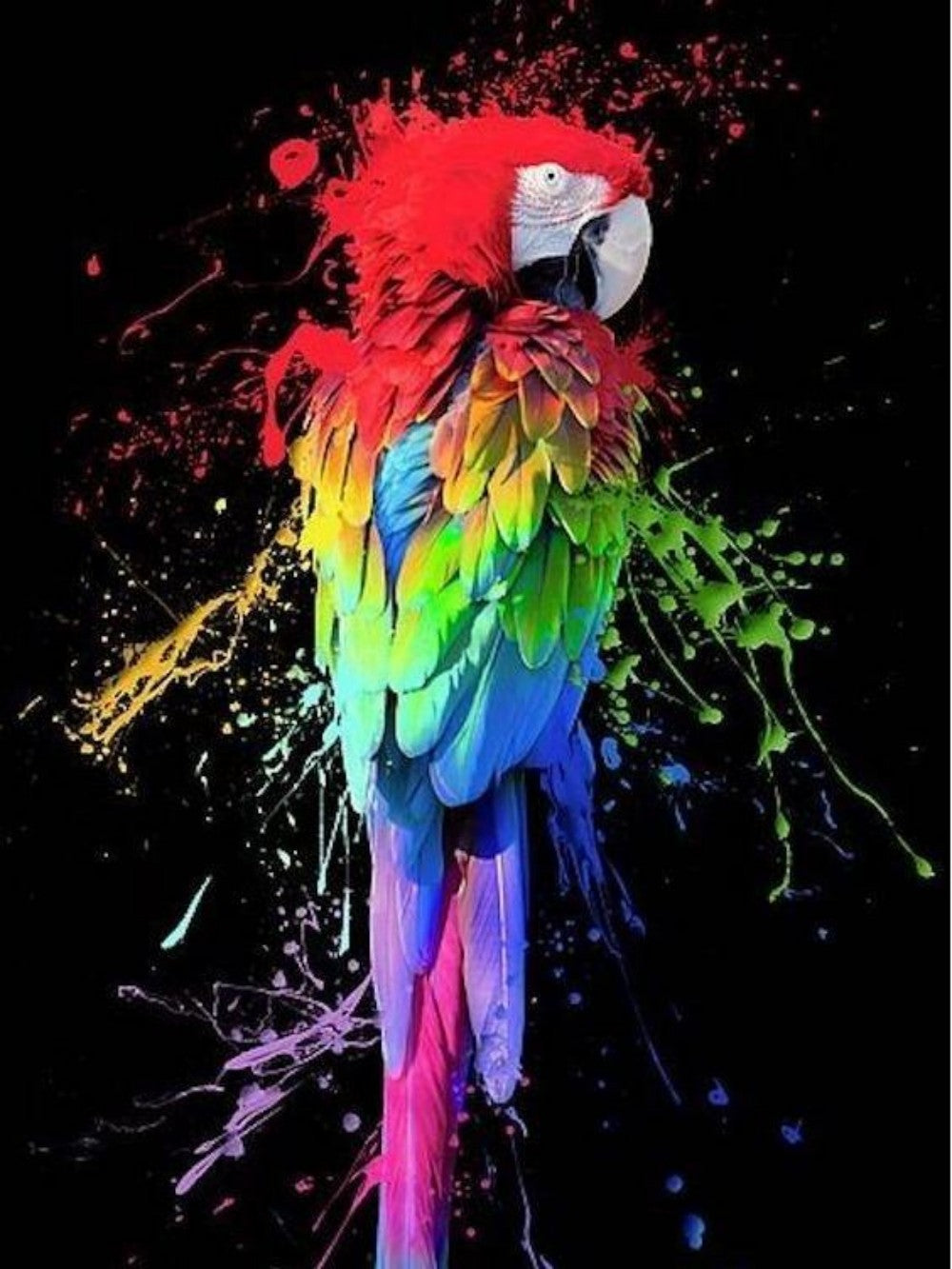 Macaw | Diamond Painting