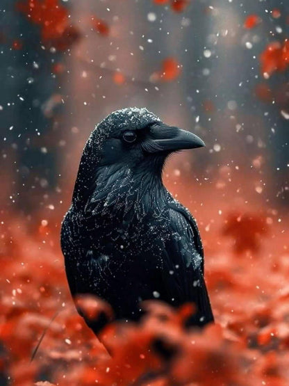 Crow | Diamond Painting