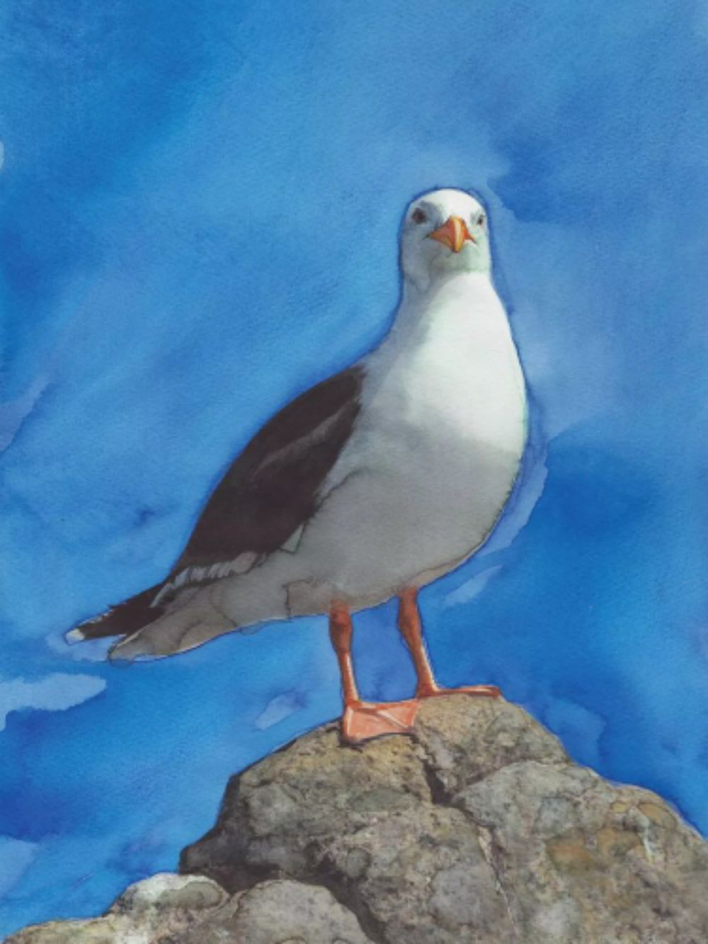 Gull | Diamond Painting