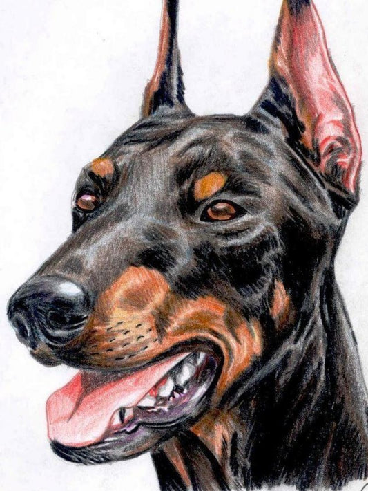 Dog Doberman | Diamond Painting