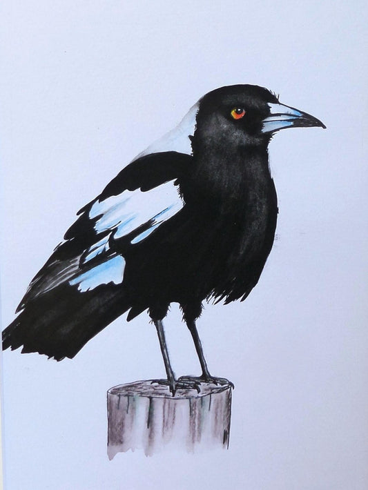 Magpie | Diamond Painting