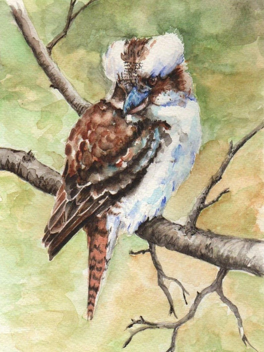 Kookaburra | Diamond Painting