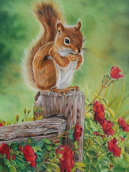 Squirrel | Diamond Painting