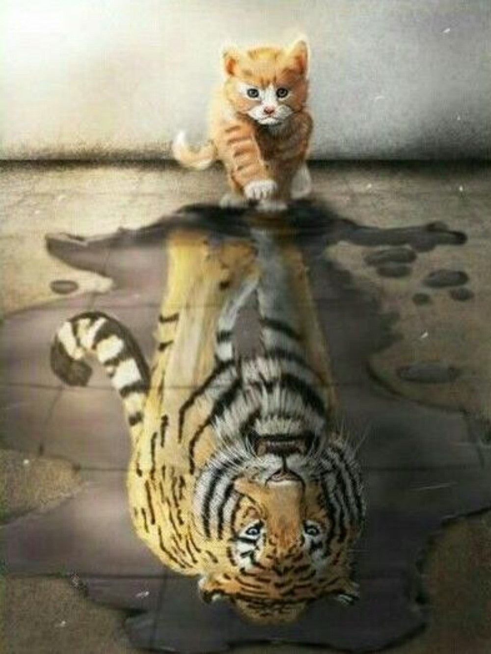 Cat Tiger | Diamond Painting