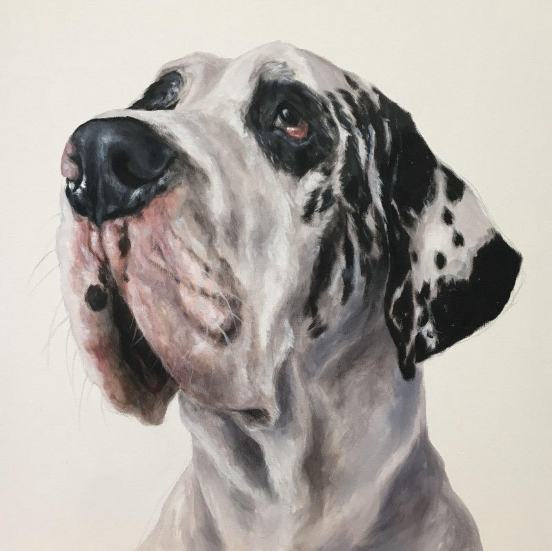 Dog Great Dane | Diamond Painting