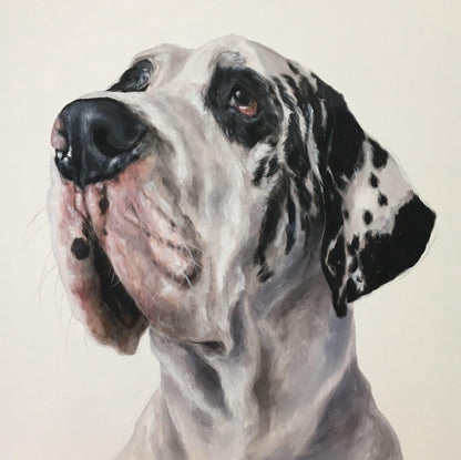 Dog Great Dane | Diamond Painting