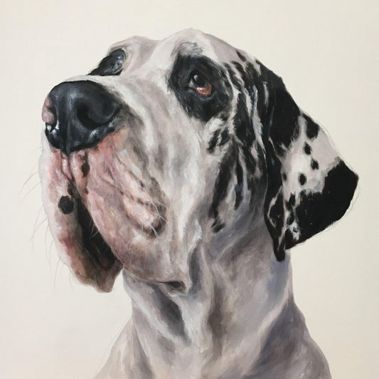 Dog Great Dane | Diamond Painting