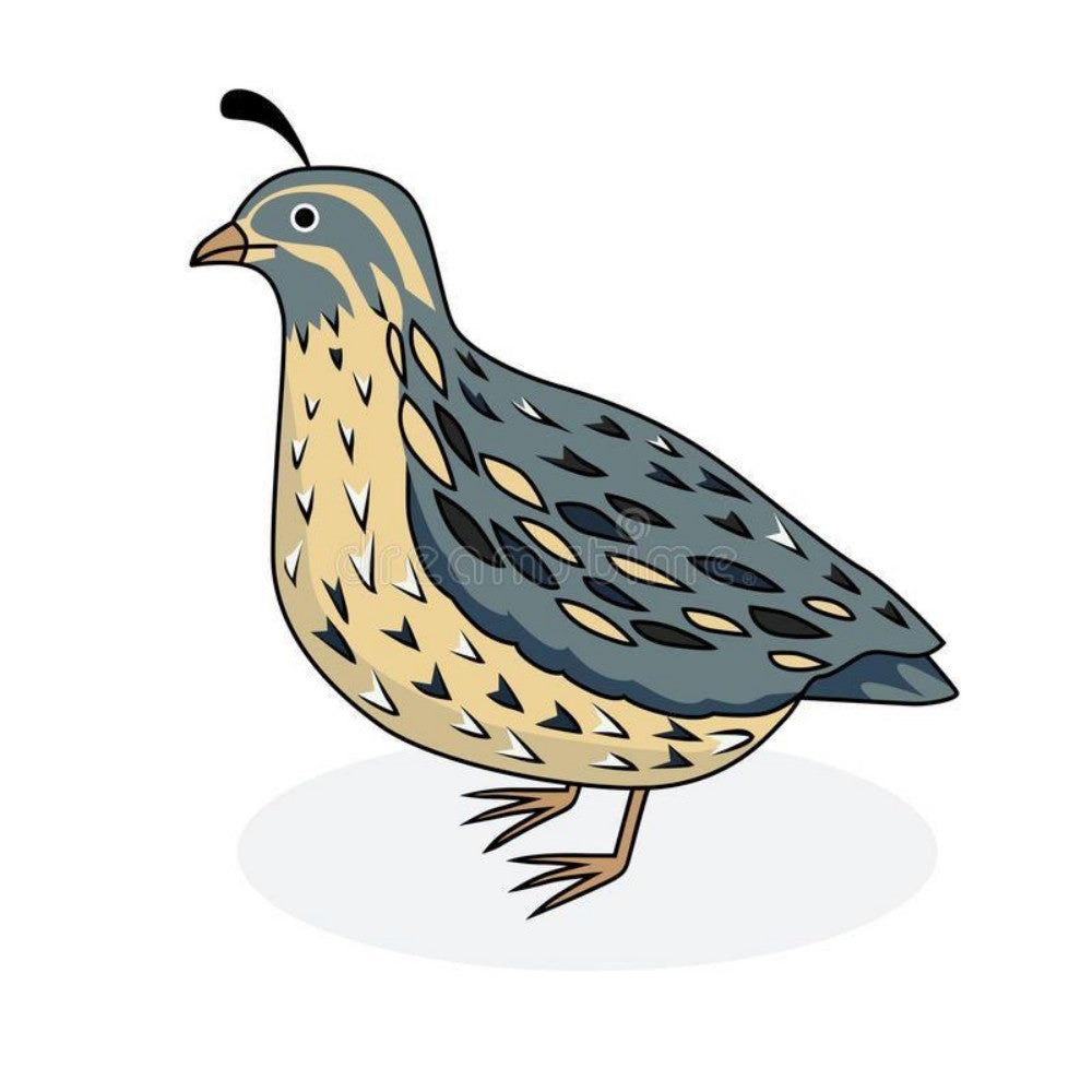 Quail | Diamond Painting