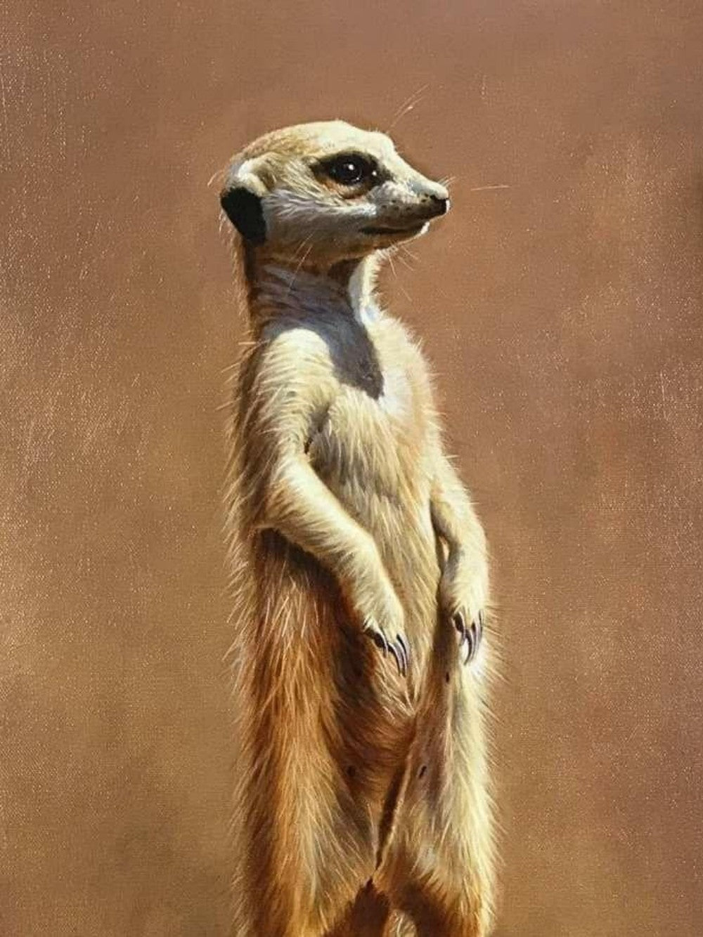Meerkat | Diamond Painting