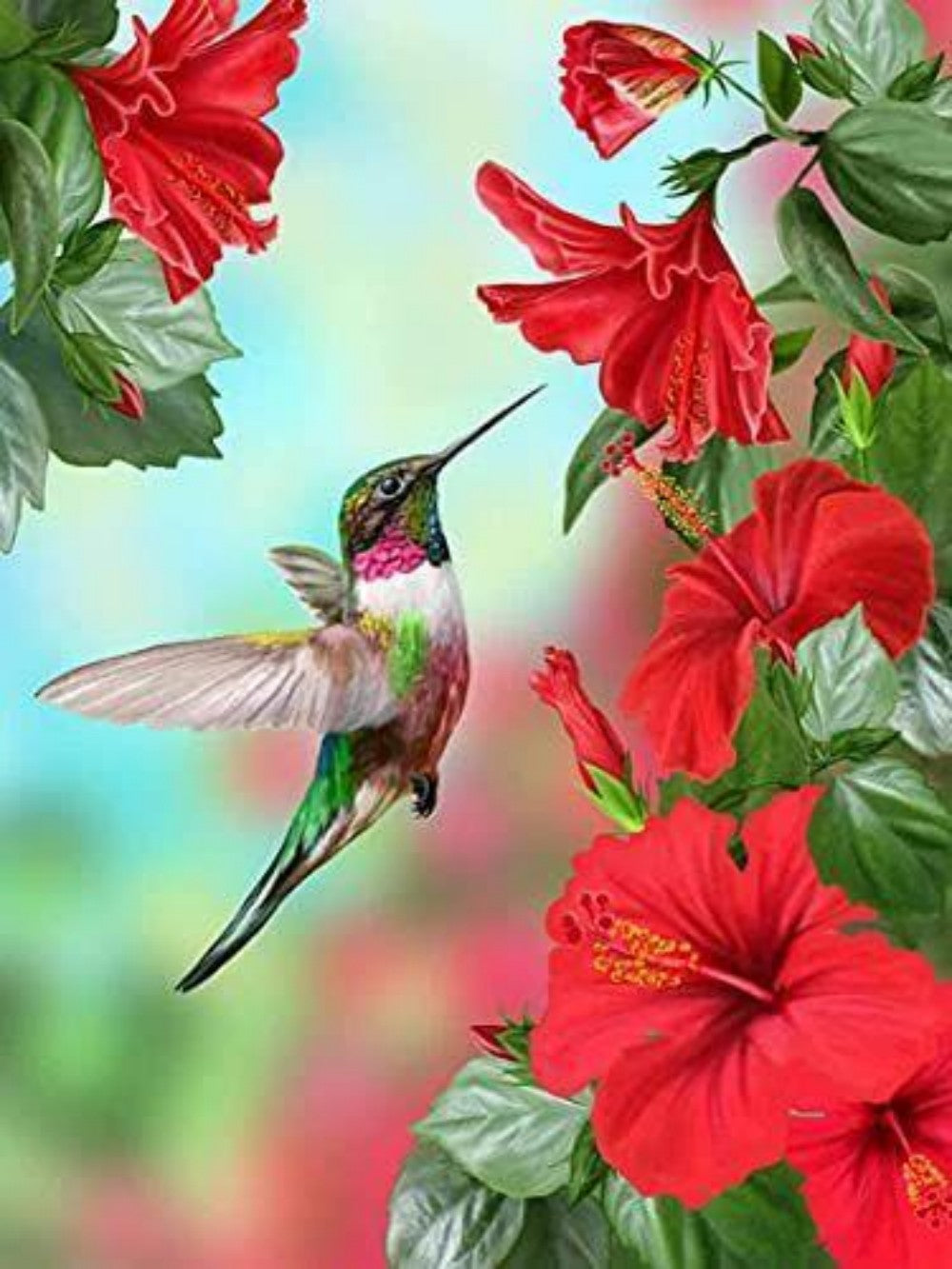 Hummingbird | Diamond Painting