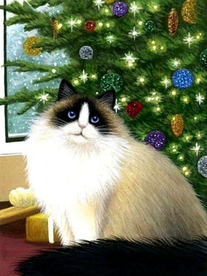 Ragdoll Cat | Diamond Painting