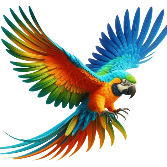 Macaw | Diamond Painting