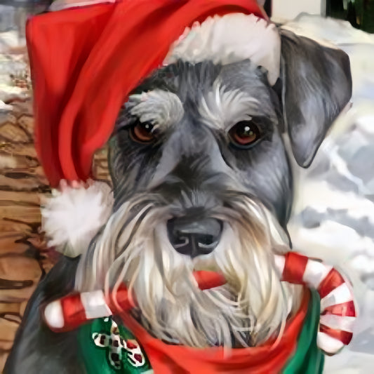 Dog Schnauzer | Diamond Painting