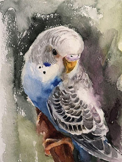 Budgie | Diamond Painting