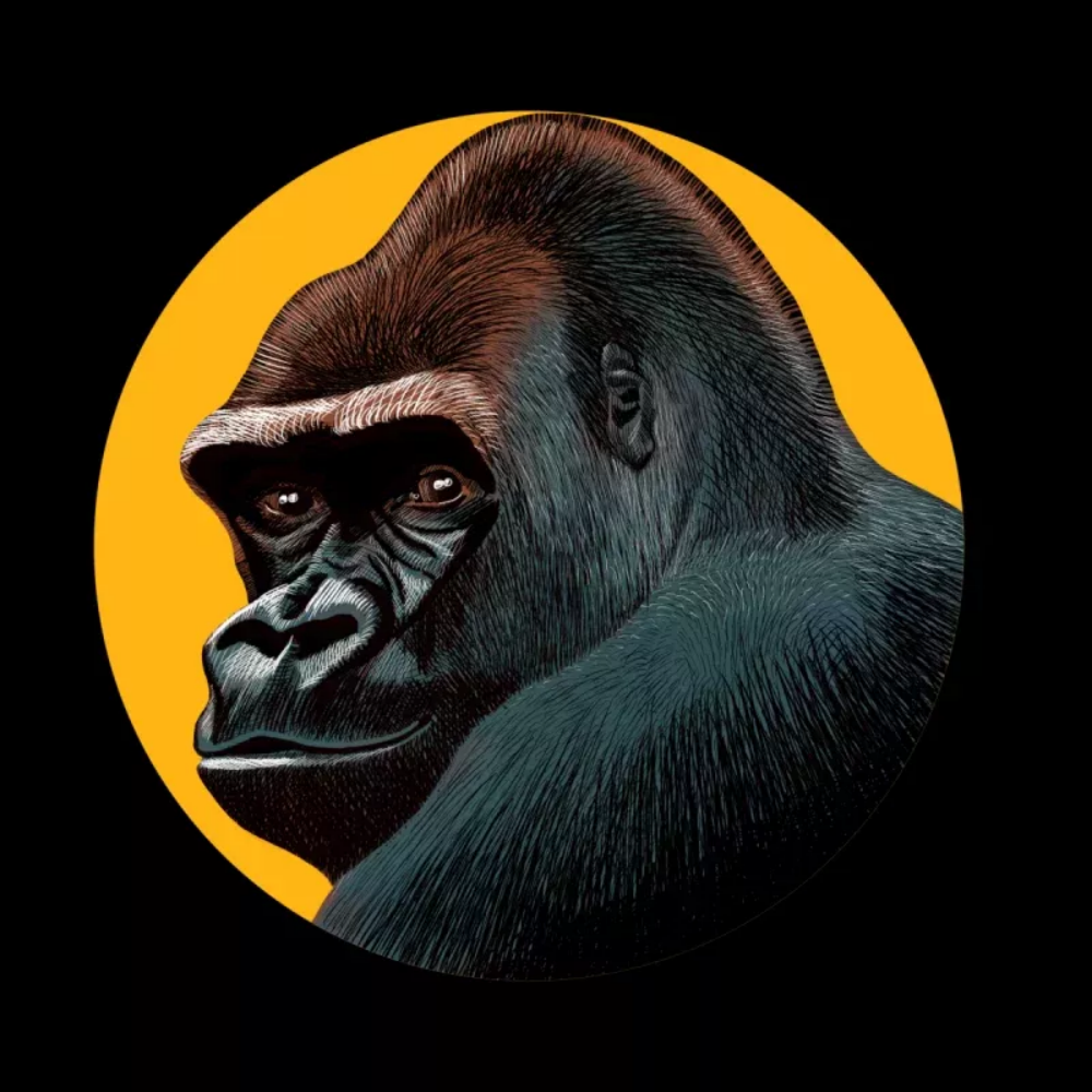 Gorilla | Diamond Painting