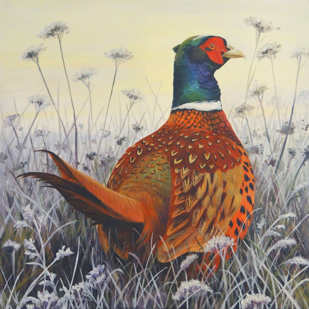 Pheasant | Diamond Painting