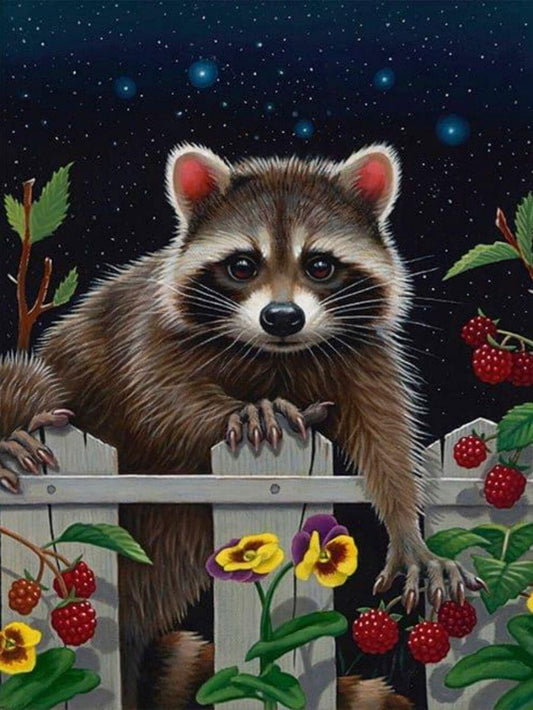 Raccoon | Diamond Painting