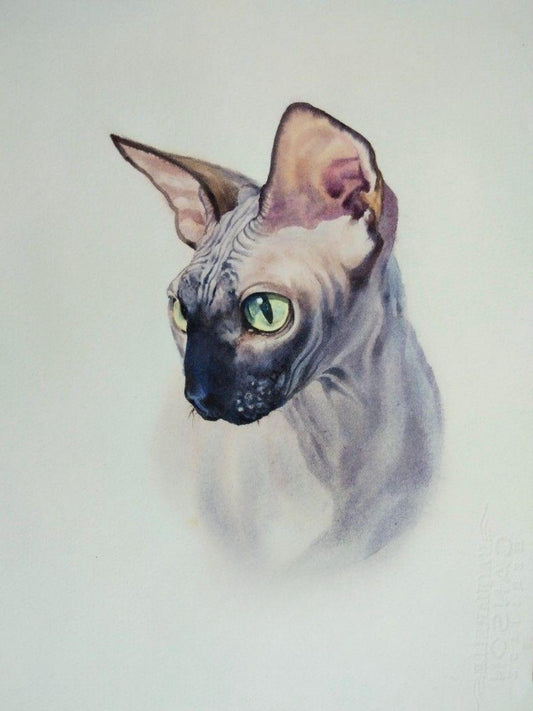 Sphynx Cat  | Diamond Painting