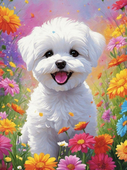 Havanese Dog | Diamond Painting