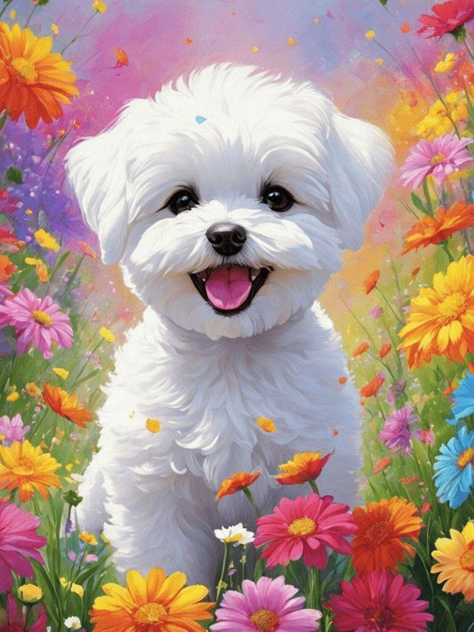 Havanese Dog | Diamond Painting