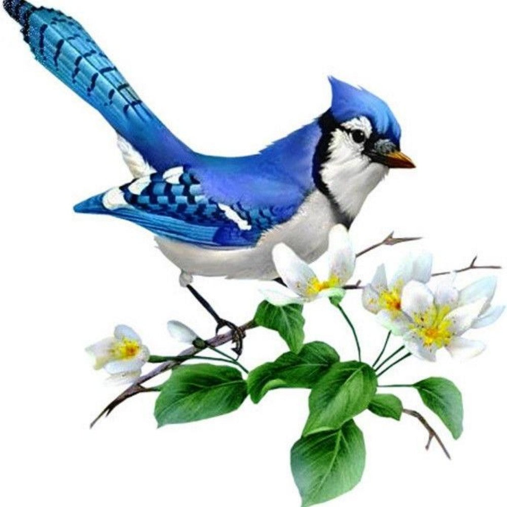 Blue Jay | Diamond Painting