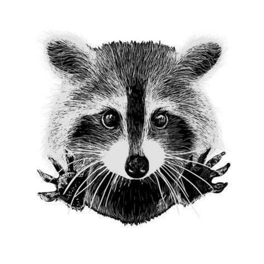 Raccoon | Diamond Painting