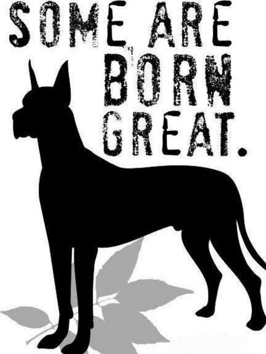 Dog Great Dane | Diamond Painting