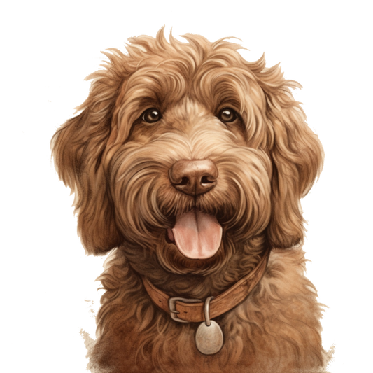 Labradoodle Dog | Diamond Painting