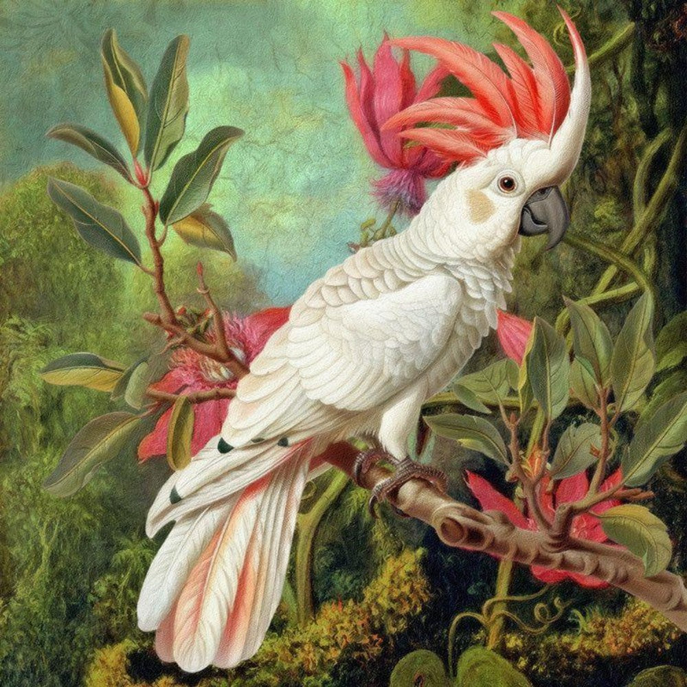 Cockatoo | Diamond Painting