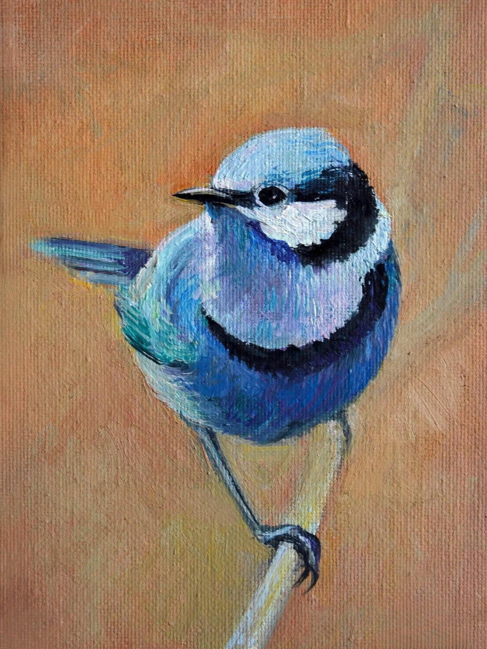 Blue Wren | Diamond Painting